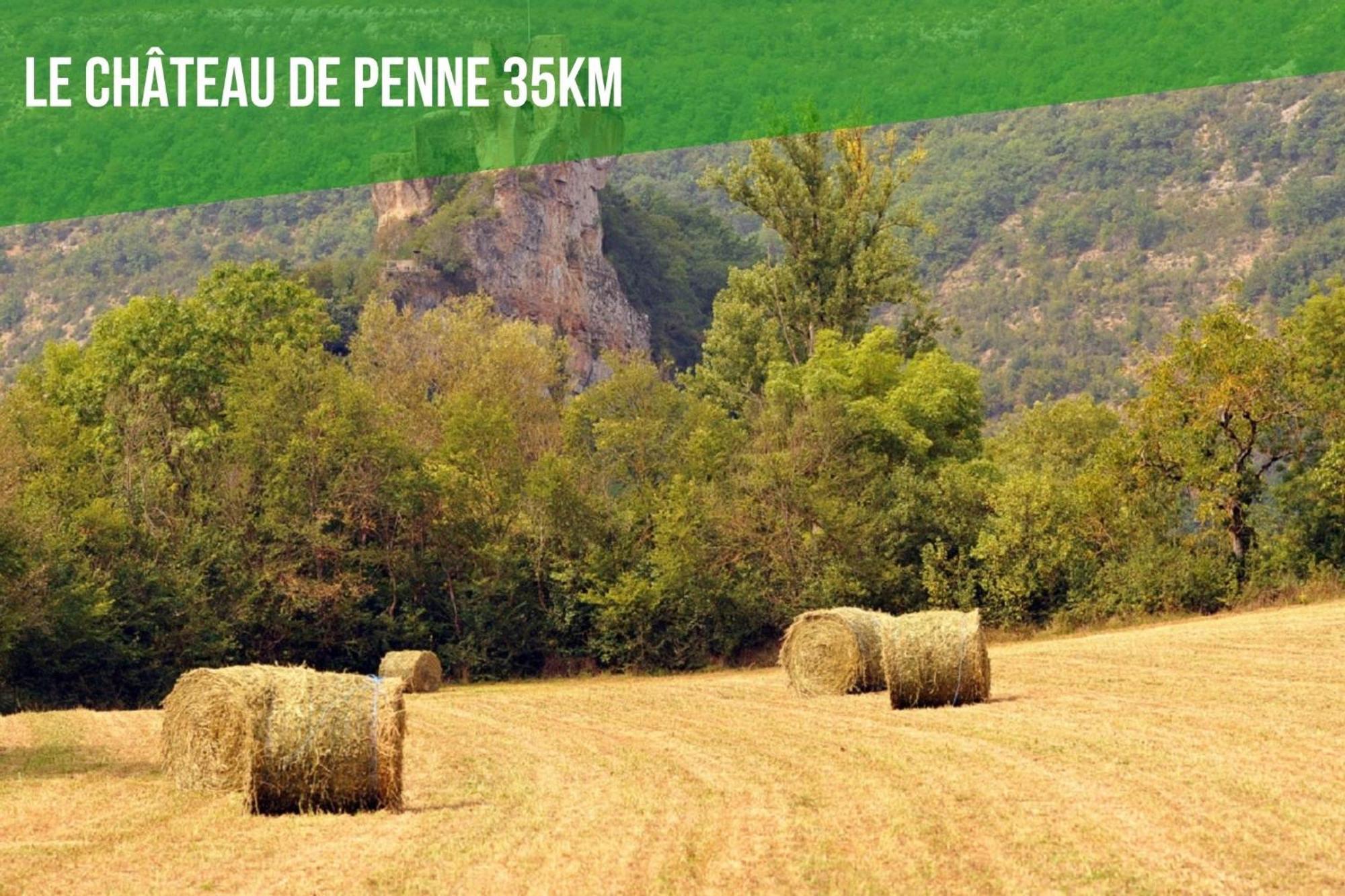 Le Cottage Nature Vigne Rouge Sauna Gaillac Entre Albi-Toulouse & Les Cottages Du Tarn Brens  Buitenkant foto